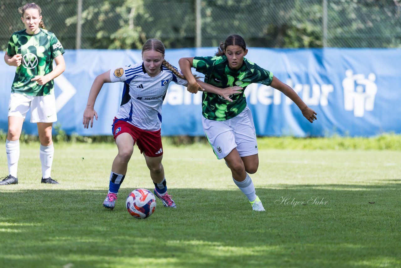 Bild 287 - wBJ Hamburger SV - VfL Wolfsburg : Ergebnis: 5:1